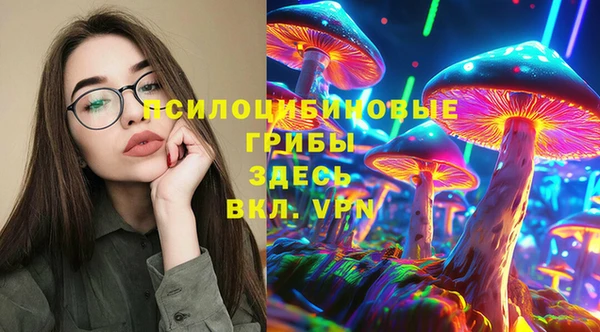 прущие грибы Беломорск