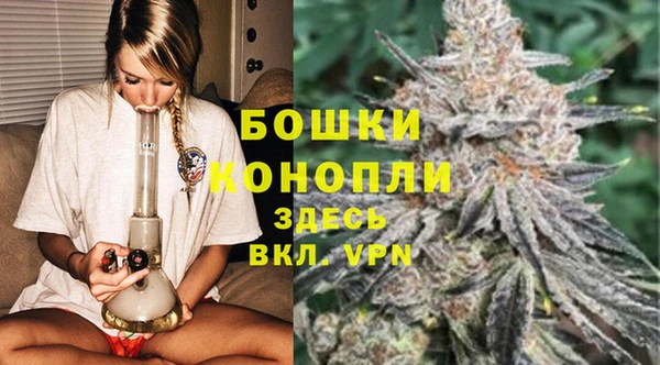 прущие грибы Беломорск