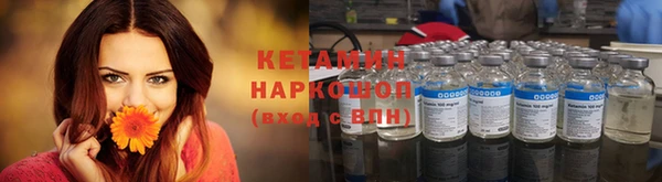 прущие грибы Беломорск