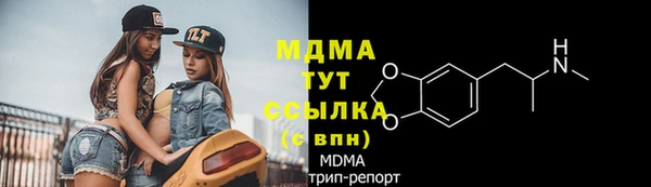 прущие грибы Беломорск
