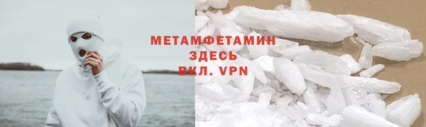 прущие грибы Беломорск