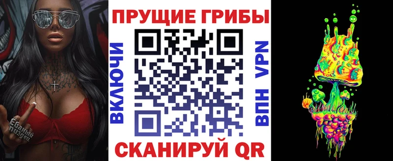 Псилоцибиновые грибы MAGIC MUSHROOMS  Купино 
