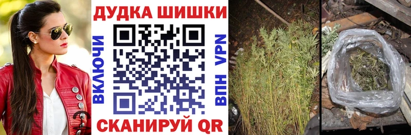 Канабис планчик  Купино 